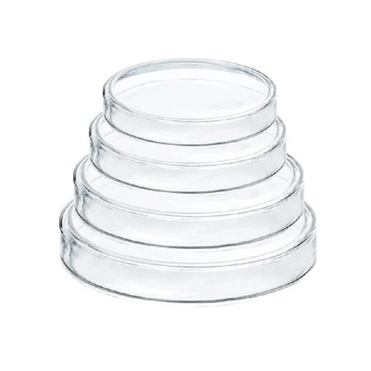 Glass Culture Dish